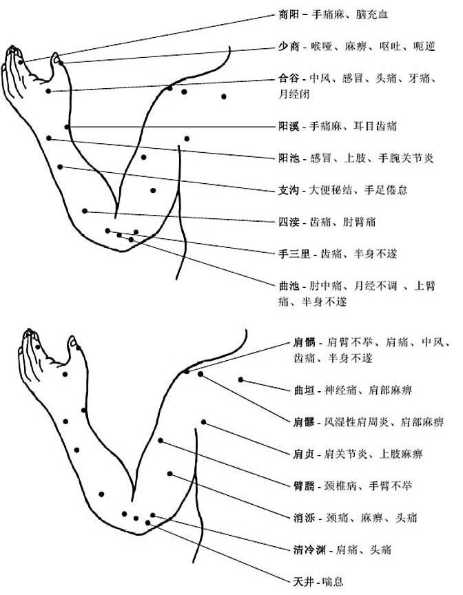 上肢穴位