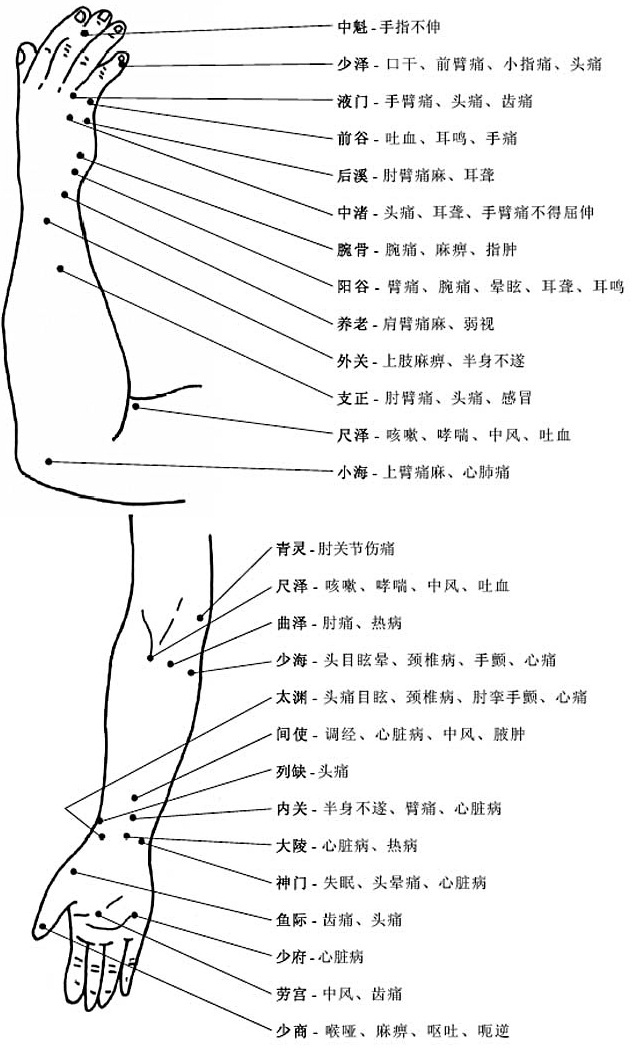 上肢穴位