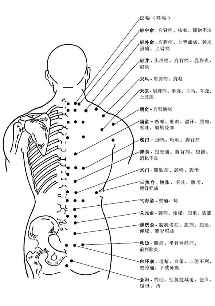 背部穴位