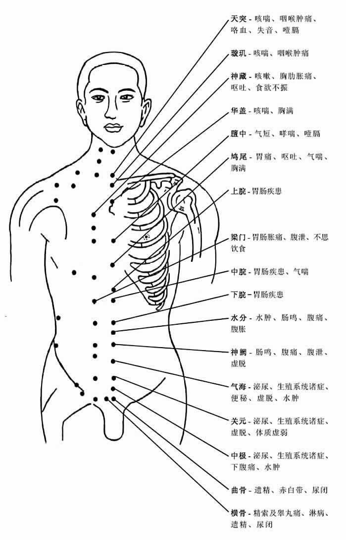 胸部穴位