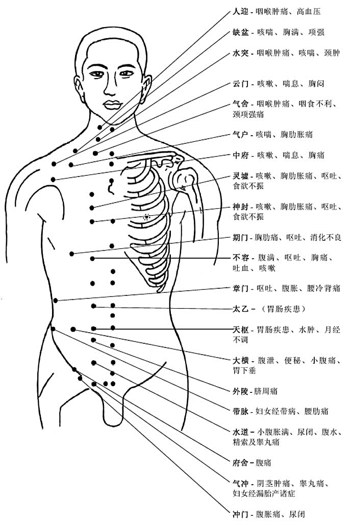 胸部穴位