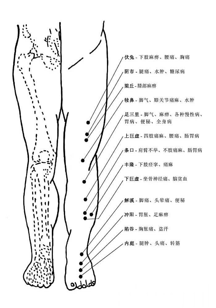 腿部穴位