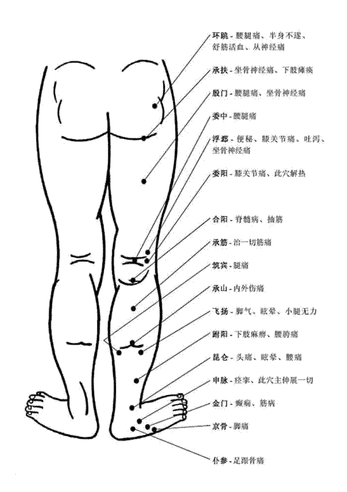 腿部穴位